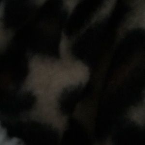 Meet your Posher, Alisha